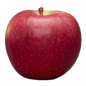 EverCrisp