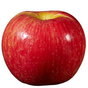 Honeycrisp