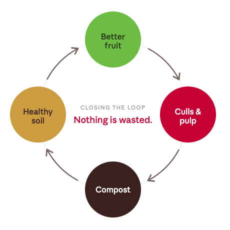 soil compost cycle<br />
