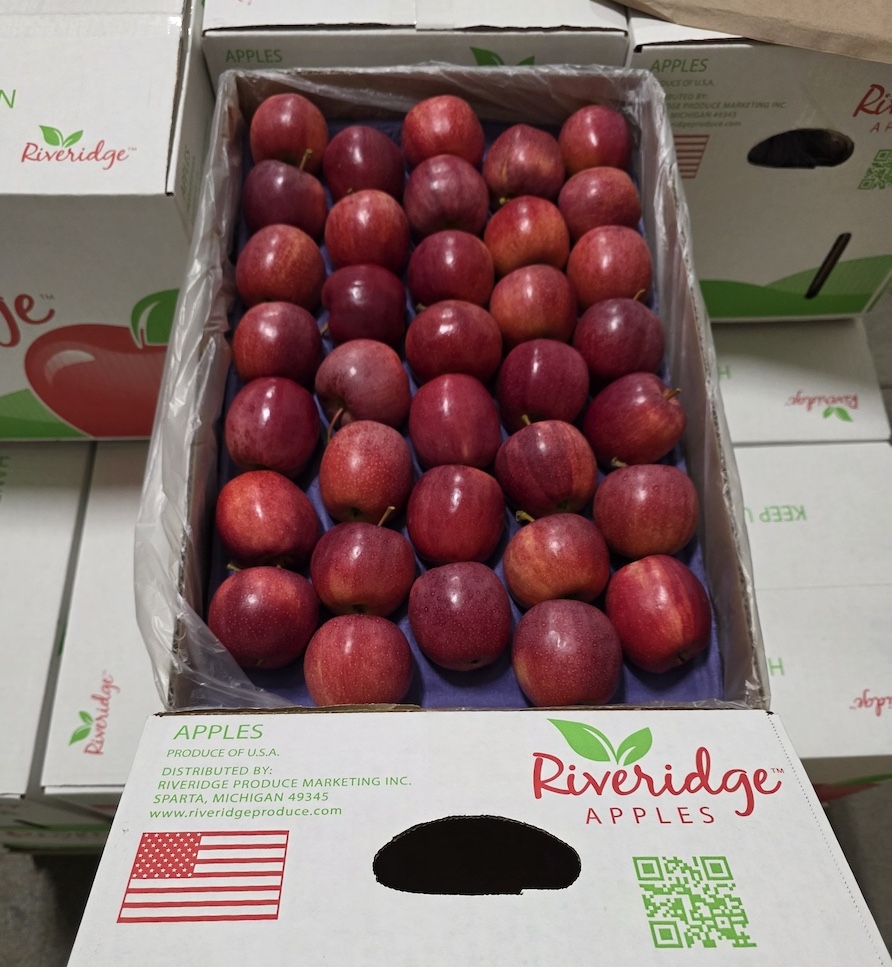Riveridge Export Gala Apples