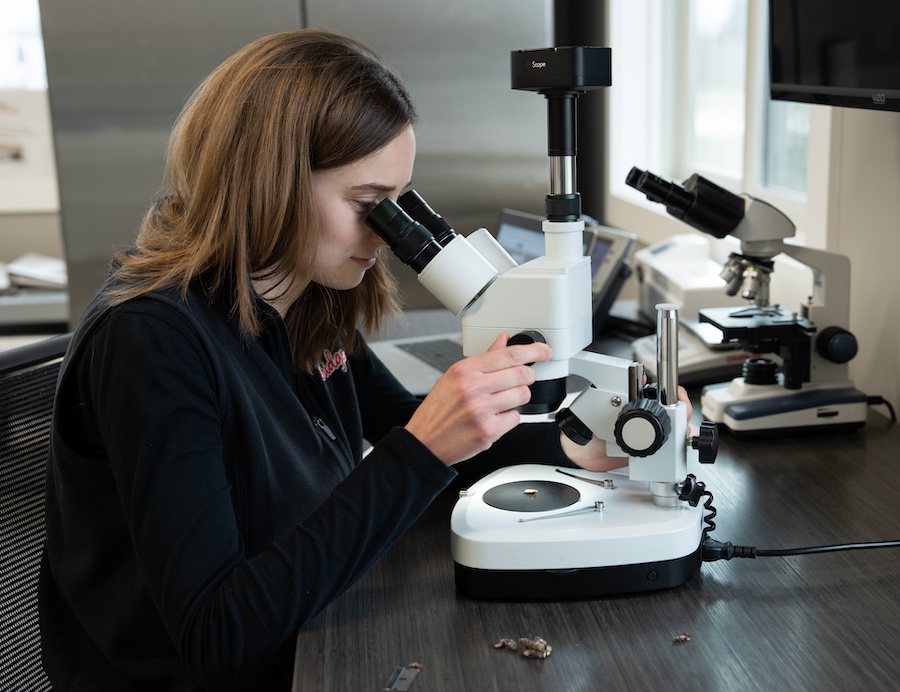 RR Bud Research