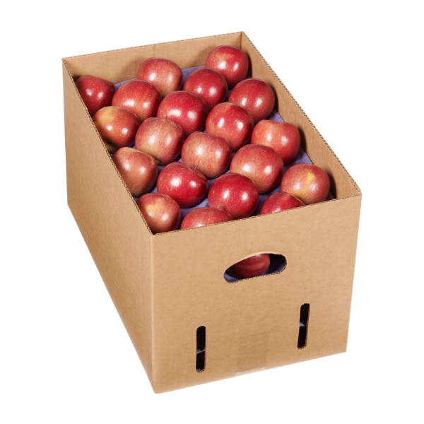 Riveridge Packing - Tray Fruit