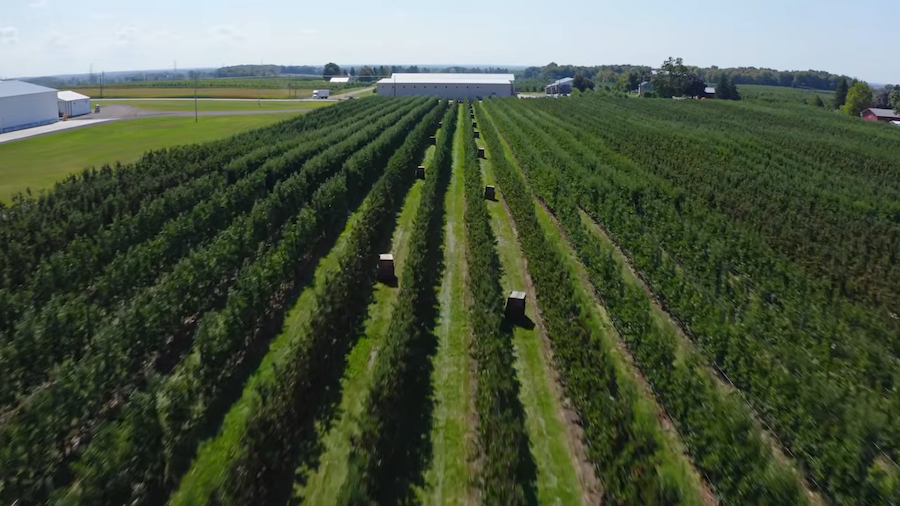 Riveridge Land Company orchard in Sparta, Michigan