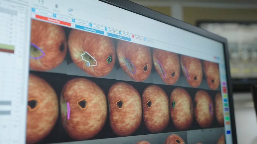 video inspecting line to find defect900