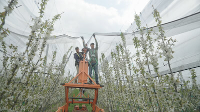 Integrated Pest Management