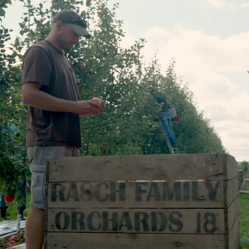 Rasch Family Orchcards