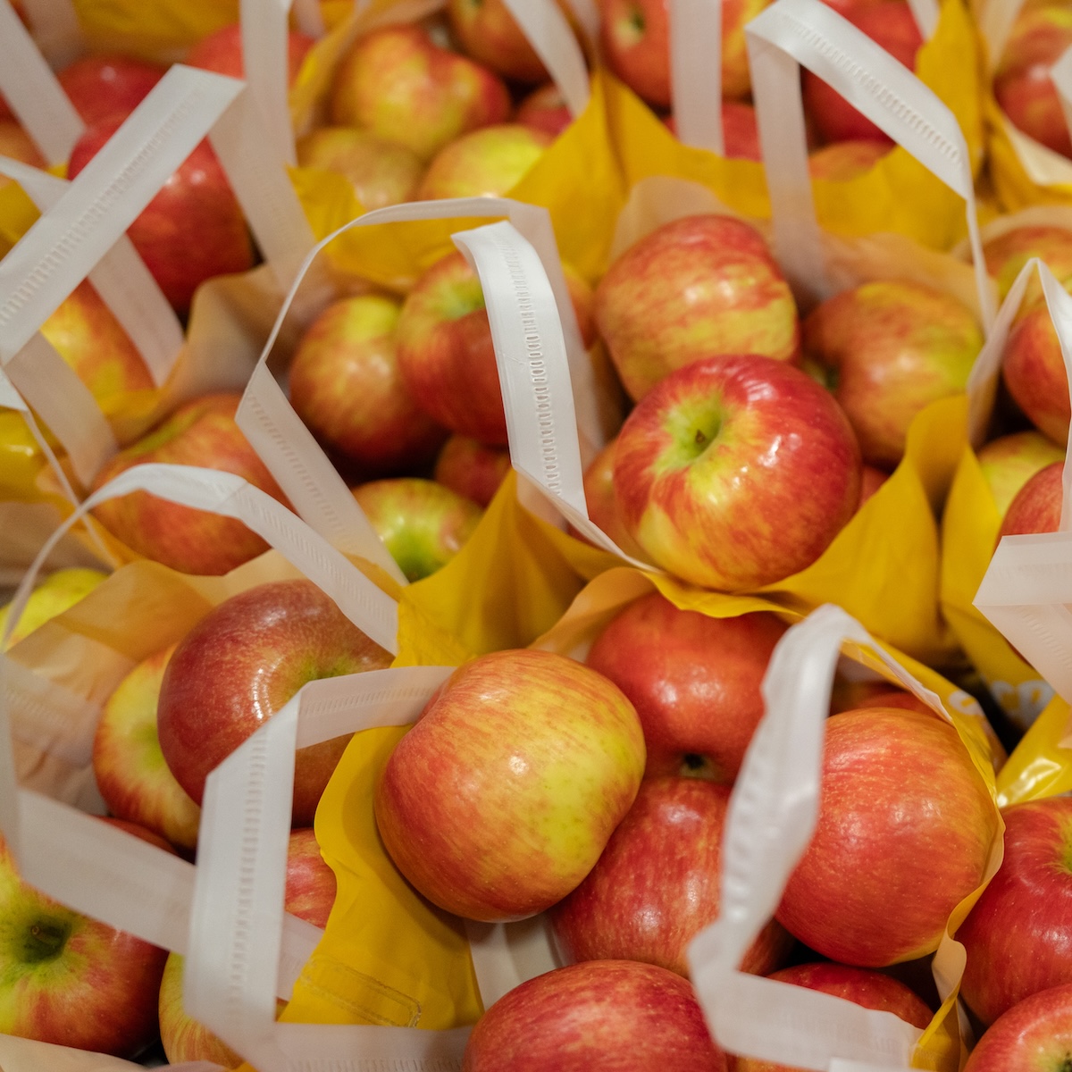 Riveridge Apples Packed in Totes
