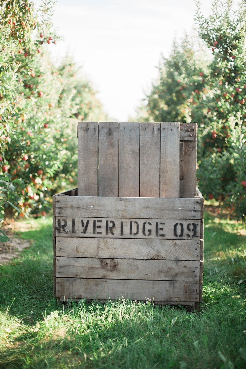 Riveridge Apple Picking Bins on the field