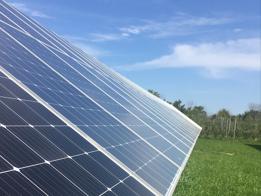 solar in apple orchards<br />