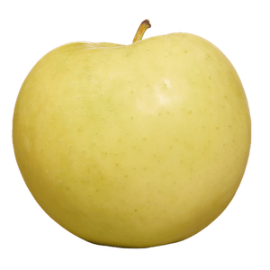 Ginger Gold apple