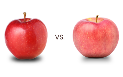 Gala vs Fuji