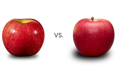 Honeycrisp vs EverCrisp