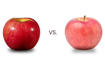 Honeycrisp vs Fuji