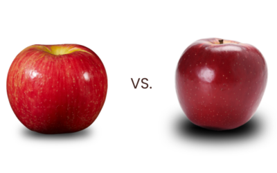 Honeycrisp vs SnapDragon
