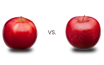 Ida Red vs Rome