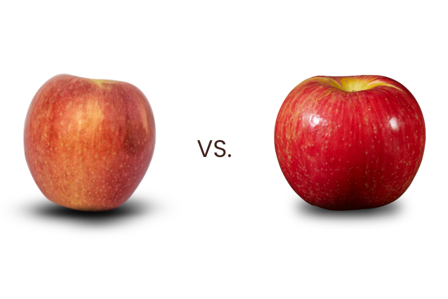 Riveridge Apple Comparison Ludacrisp vs Honeycrisp Riveridge Apple Comparison Ludacrisp vs Honeycrisp