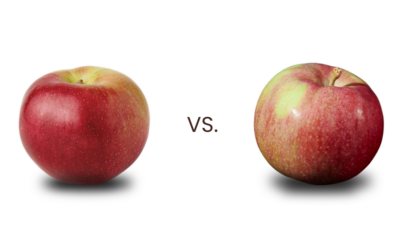 Macoun vs McIntosh