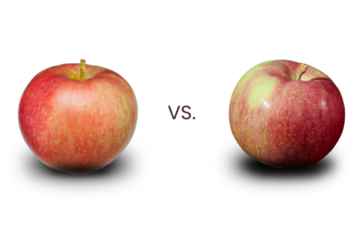 Paula Red vs McIntosh