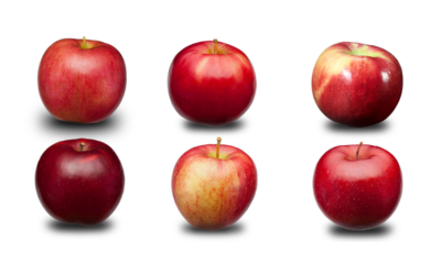 The Best Michigan Apples for Pie
