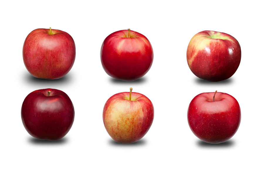 Riveridge Apple Comparison The Best Michigan Apples for Pie Riveridge Apple Comparison The Best Michigan Apples for Pie